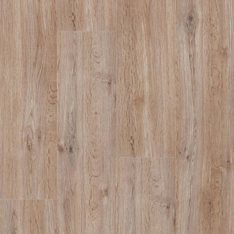 Stratifié Smart 8 Forest Natural 62001175 Stratifié Smart 8 Forest Natural 62001175