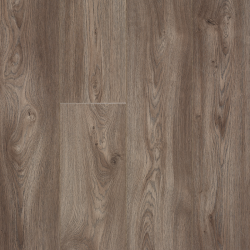 Stratifié Glorious XL Jazz XXL Brown 62001273