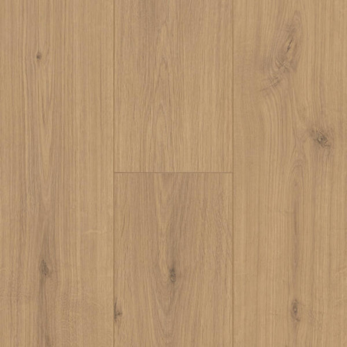 Stratifié Trendline 8 V4 Auri 62003325 - BerryAlloc