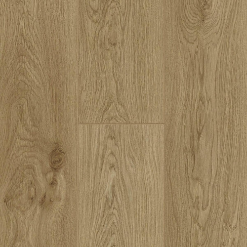 Stratifié Trendline 8 V4 Daisy 62003328 - BerryAlloc
