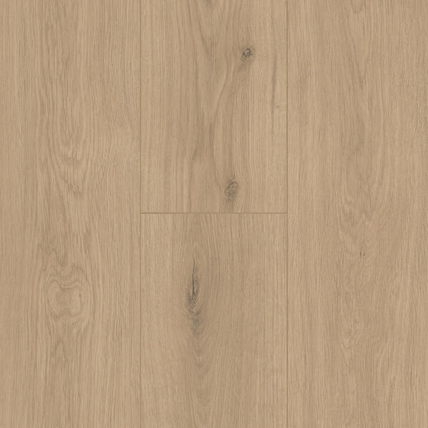 Stratifié Trendline 8 V4 Remy 62003335 - BerryAlloc