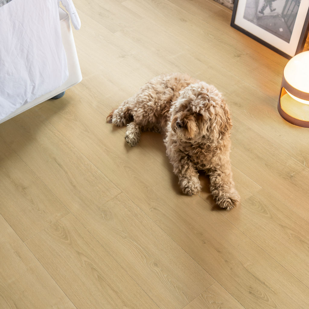 Stratifié Chêne naturel brossé SIG4763 - Quick-Step – Image 3